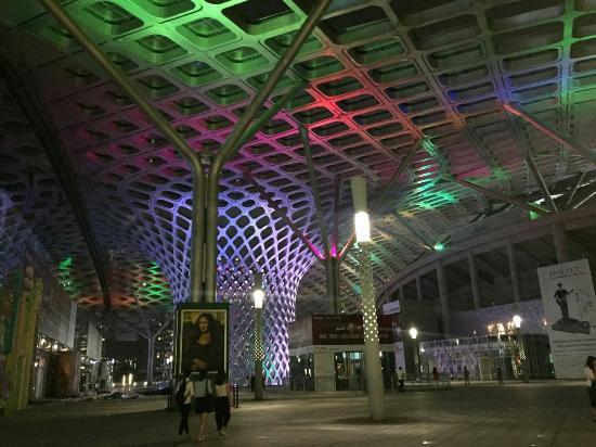 Shenzhen Bay Sports Center Stadium